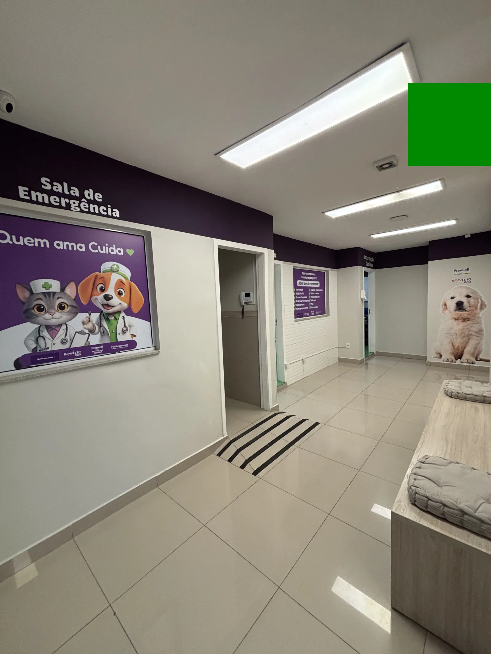 Recepção Popular Pet